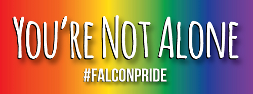 This is a photo of the #FalconPride stickers. With a rainbow color background, the sticker says "You're Not Alone #FalconPride" in white letters.